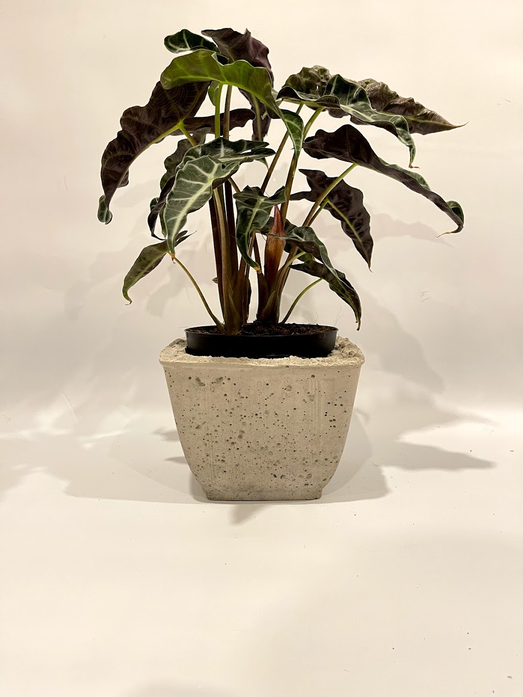 Bryer Wood Designs | 239 Bennet St, Peterborough, ON K9H 5B7, Canada | Phone: (705) 931-4856