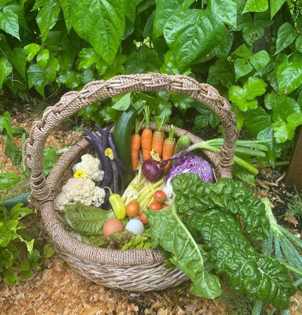 Dannys Country Market | 7071 NB-126, Adamsville, NB E4T 2C7, Canada | Phone: (506) 227-1099