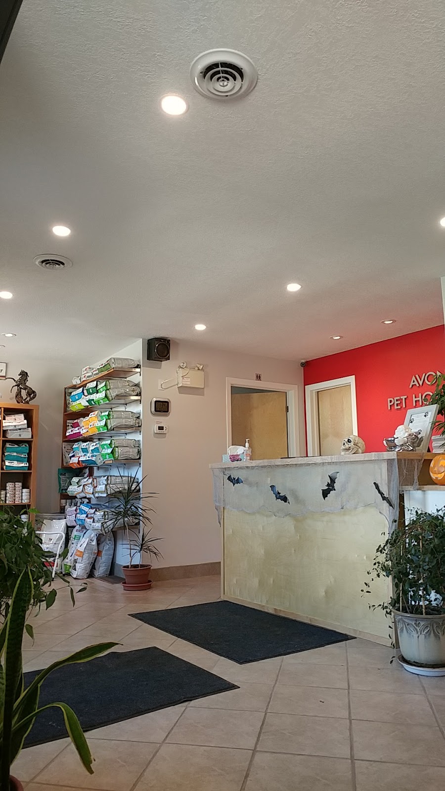 Avon Pet Hospital | 345 Douro St, Stratford, ON N5A 3S8, Canada | Phone: (519) 271-7712