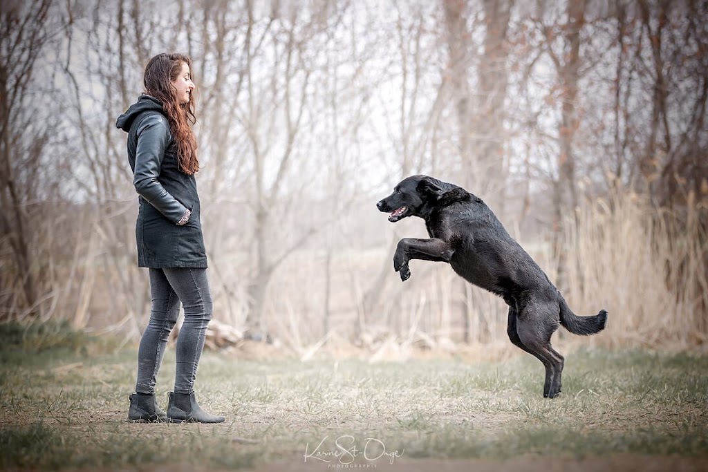 Évolution Canine - Éducation canine et dressage de chiens | 121 Chem. du Petit Rocher, Saint-Mathieu-du-Parc, QC G0X 1N0, Canada | Phone: (514) 553-1139