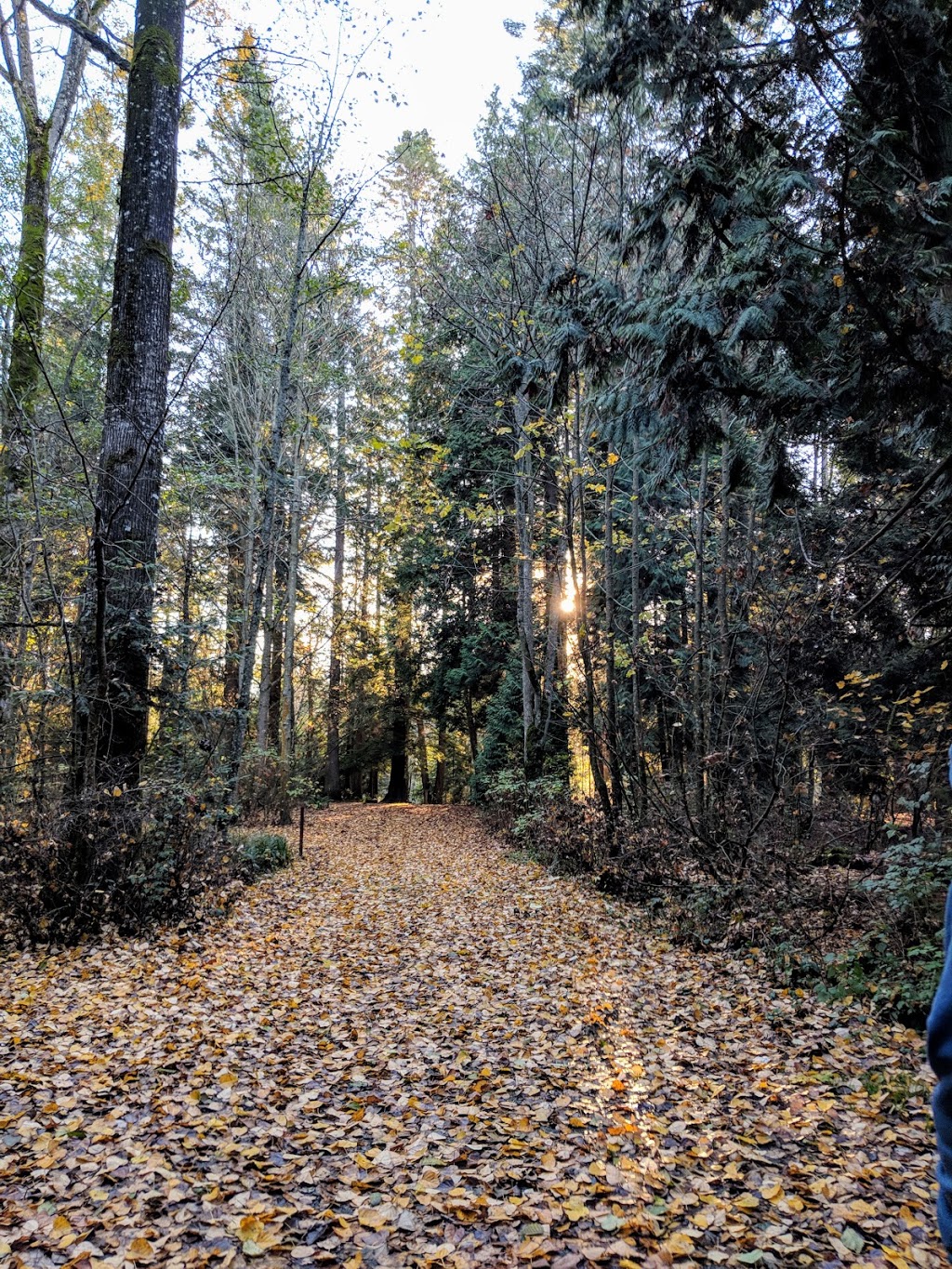 Birch Bay State Park | 5105 Helweg Rd, Blaine, WA 98230, USA | Phone: (360) 371-2800