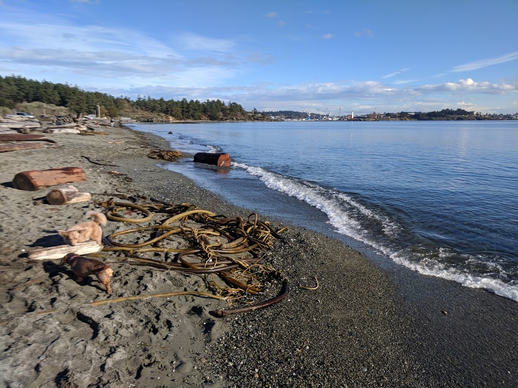 Esquimalt Lagoon Migratory Bird Sanctuary | Colwood, BC, Canada | Phone: (800) 668-6767
