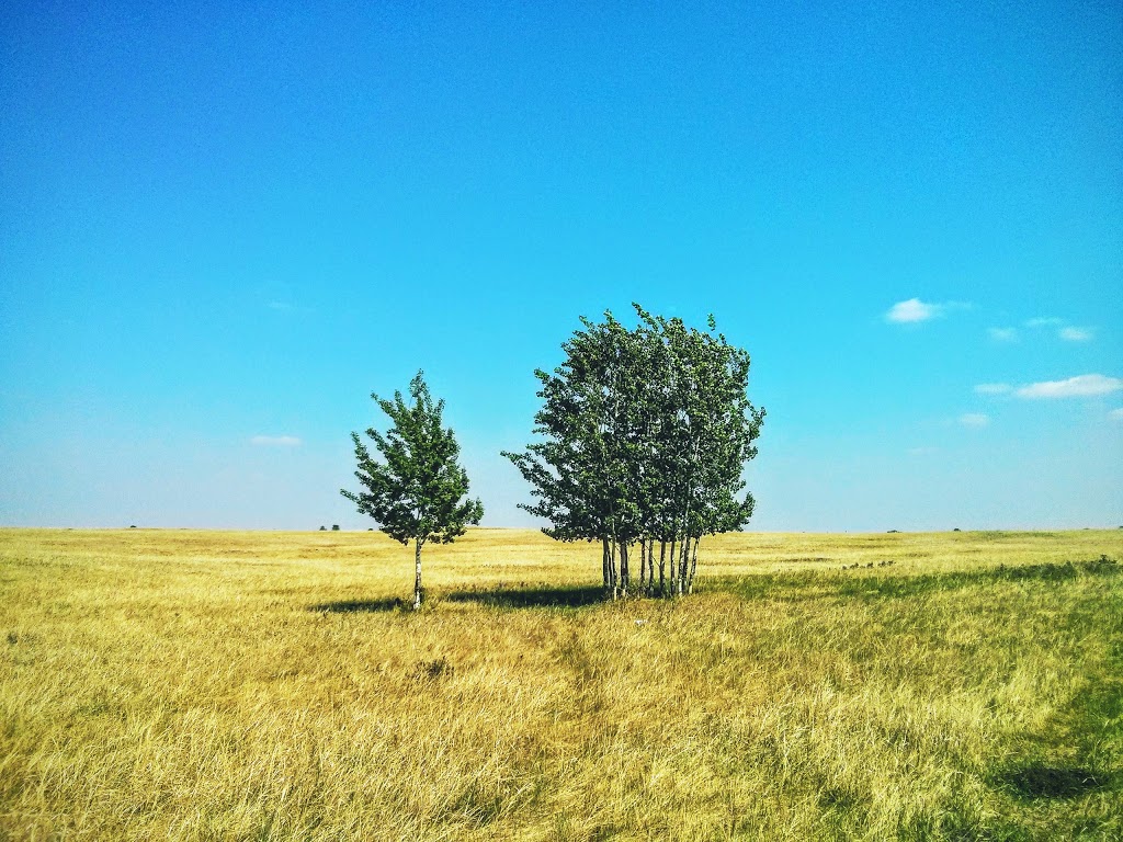 Nose Hill Park | 5620 14 St NW, Calgary, AB T3K 2P6, Canada | Phone: (403) 268-2489