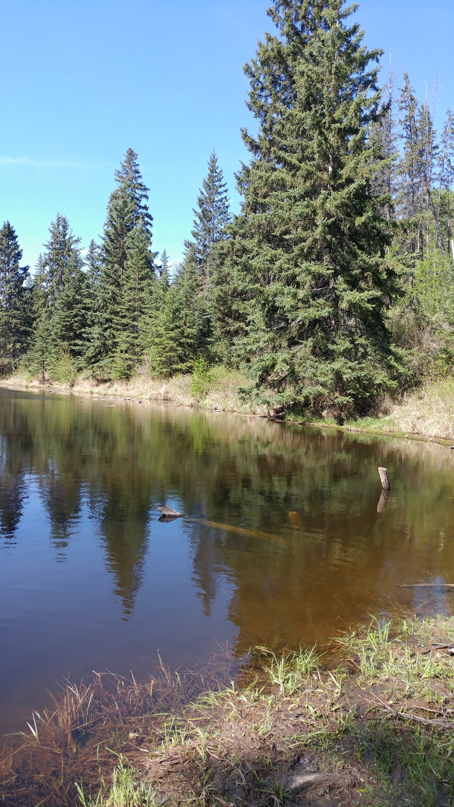 Twin Brooks District & Nature Park | 1510 119 St NW, Edmonton, AB T6J 7H6, Canada