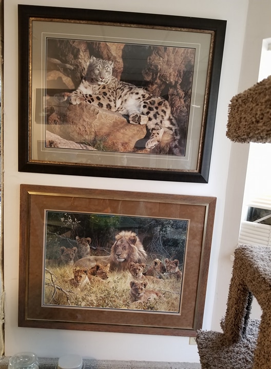 Blue Lotus Art Gallery | 10355 152 St, Surrey, BC V3R 7C1, Canada | Phone: (604) 497-1897