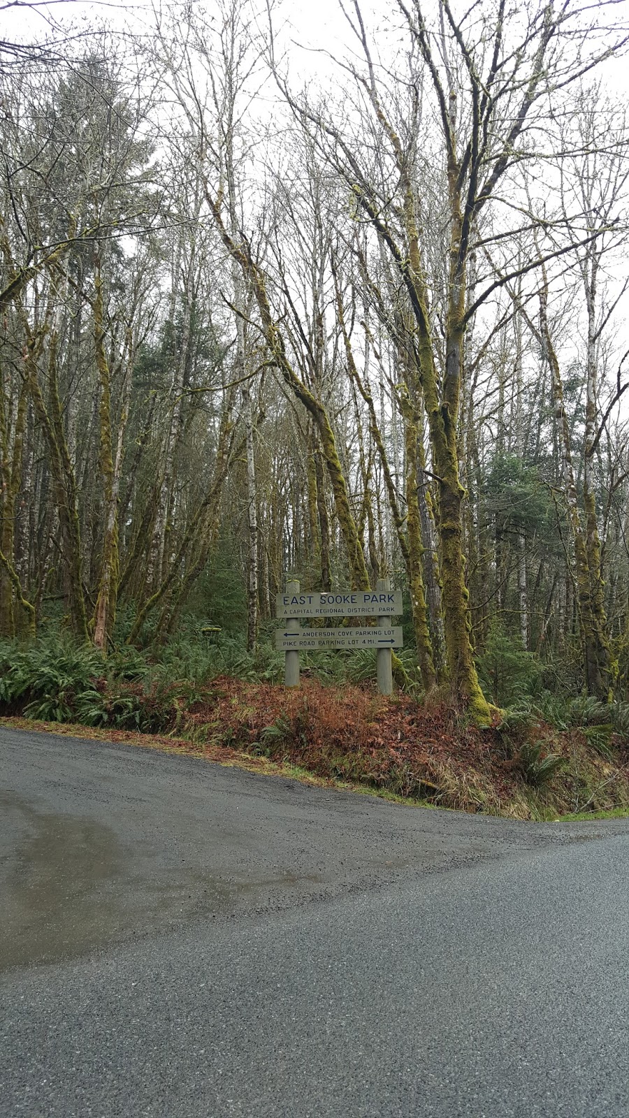 East Sooke Regional Park - Anderson Cove Parking Lot | Sooke, BC V9Z 1B3, Canada