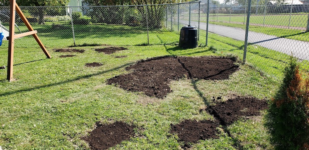 Woodchuck Stump Grinding | 111 King St E, Hagersville, ON N0A 1H0, Canada | Phone: (905) 531-0586