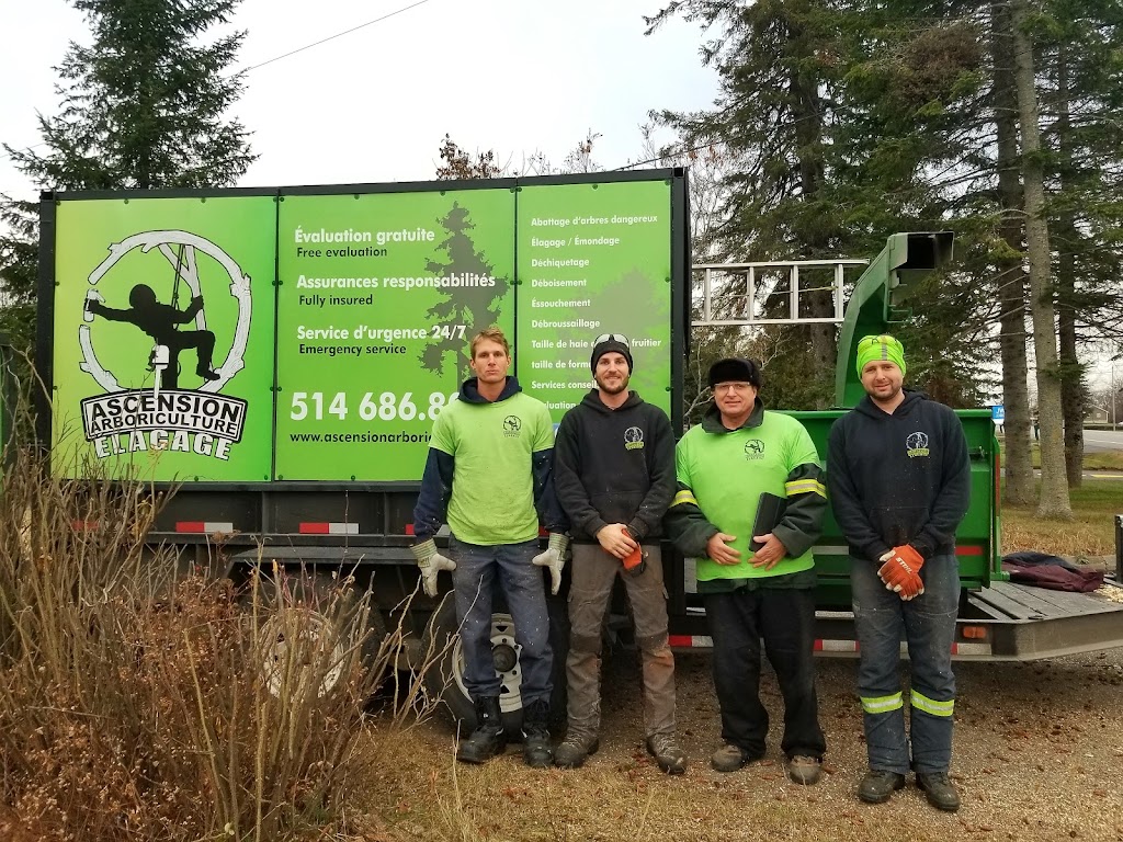 Ascension Arboriculture Elagage | 5941 Rue Lakeview, Rawdon, QC J0K 1S0, Canada | Phone: (514) 686-8011