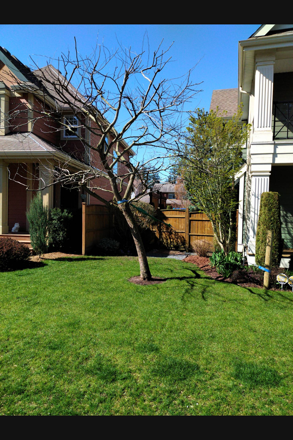 Trees for Life | 6450 Vedder Rd #105, Chilliwack, BC V2R 5N7, Canada | Phone: (604) 378-4694