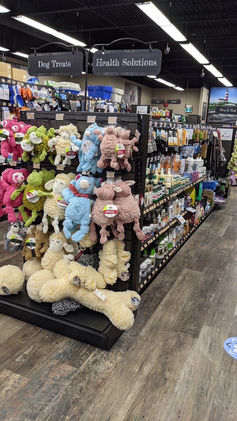 Pet Valu | 16 Dentith Rd Unit 4, Spryfield, NS B3R 2H9, Canada | Phone: (902) 405-5050