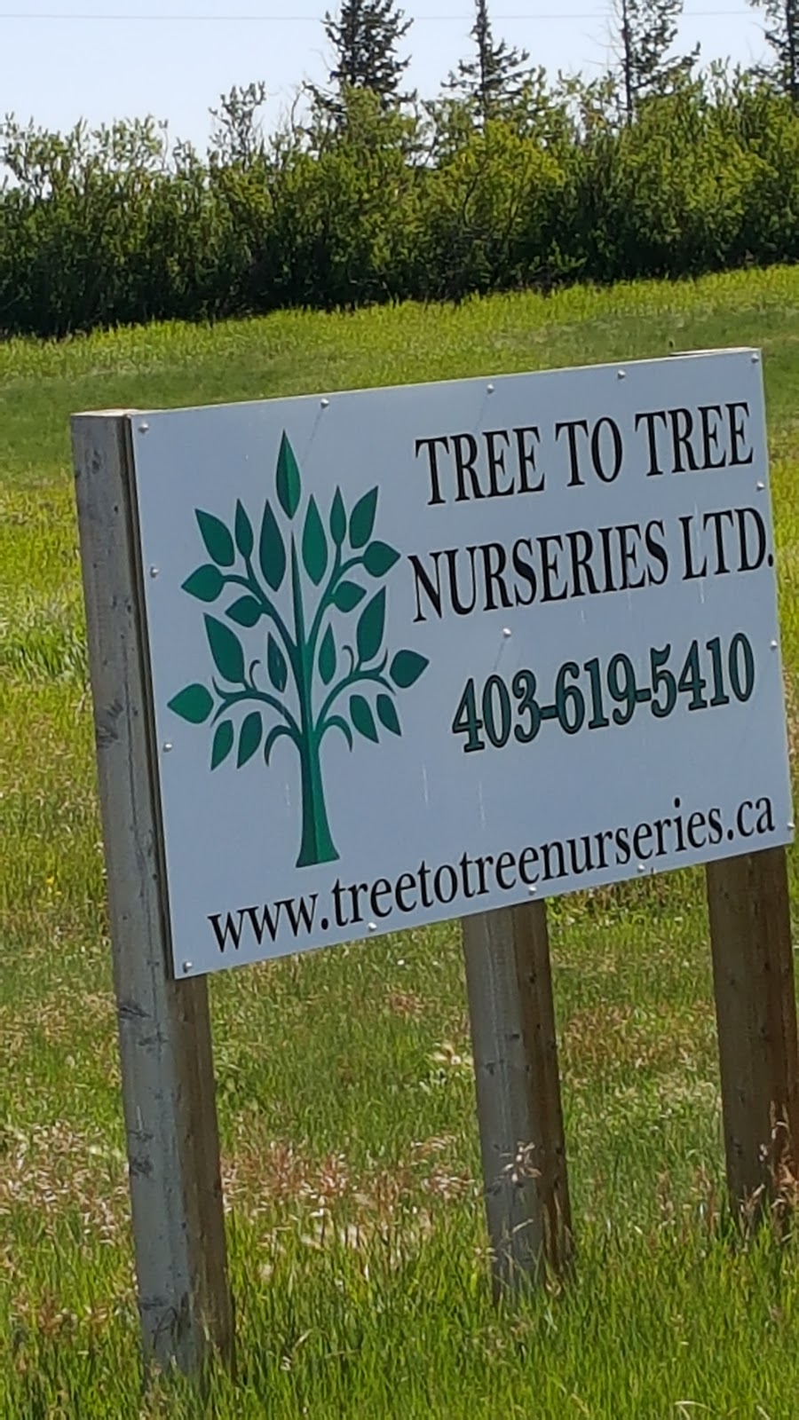 Tree to Tree Nurseries | 223 AB-1, Standard, AB T0J 3G0, Canada | Phone: (403) 619-5410