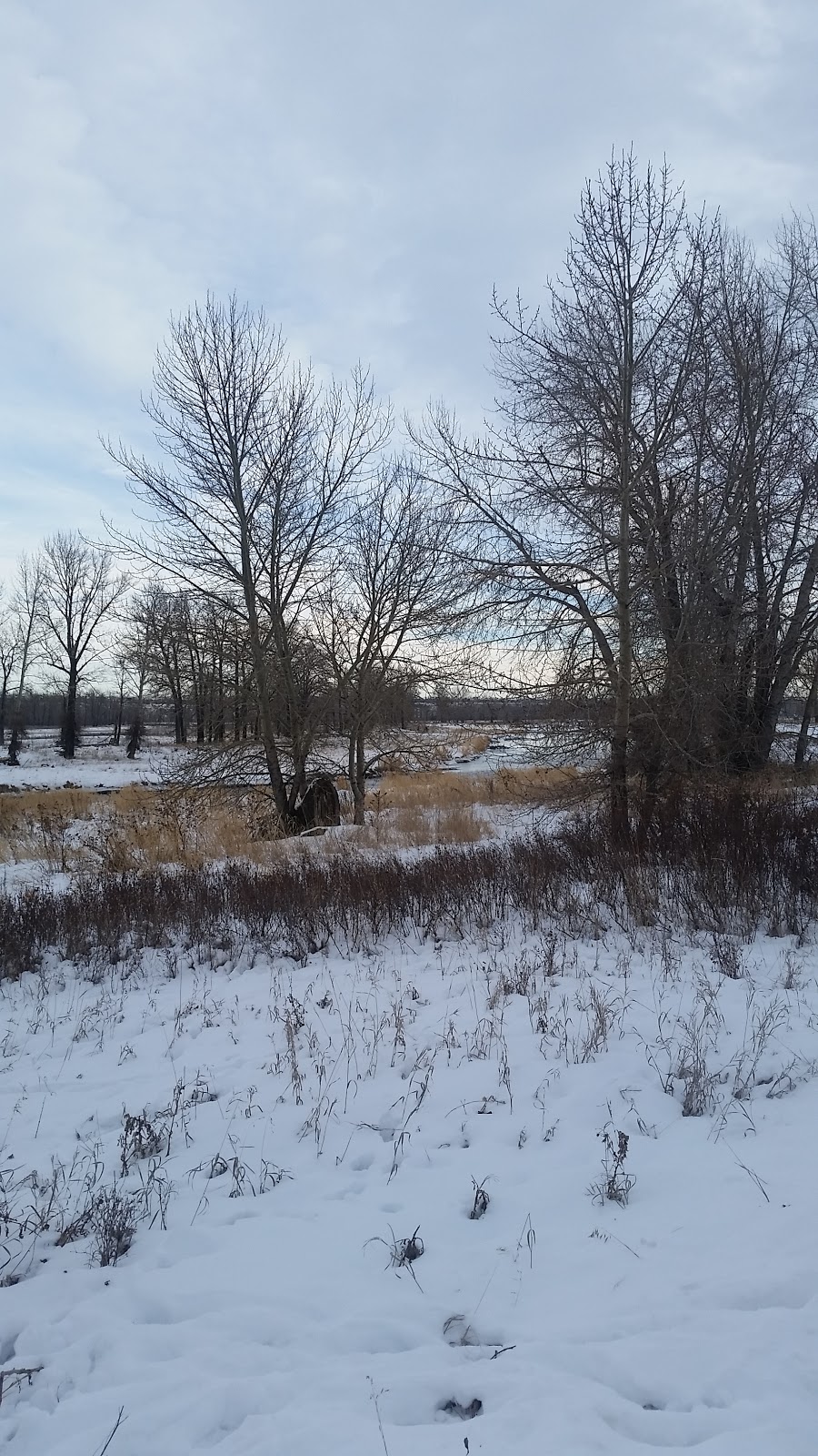 Fish Creek Provincial Park | Calgary, AB, Canada | Phone: (403) 297-5293