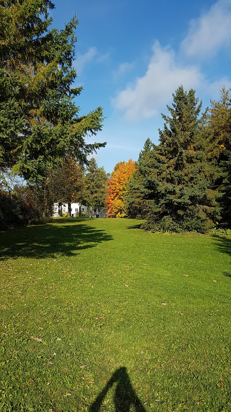 Clarence Maheral Park | 170 Castlefrank Rd, Kanata, ON K2L 2K6, Canada