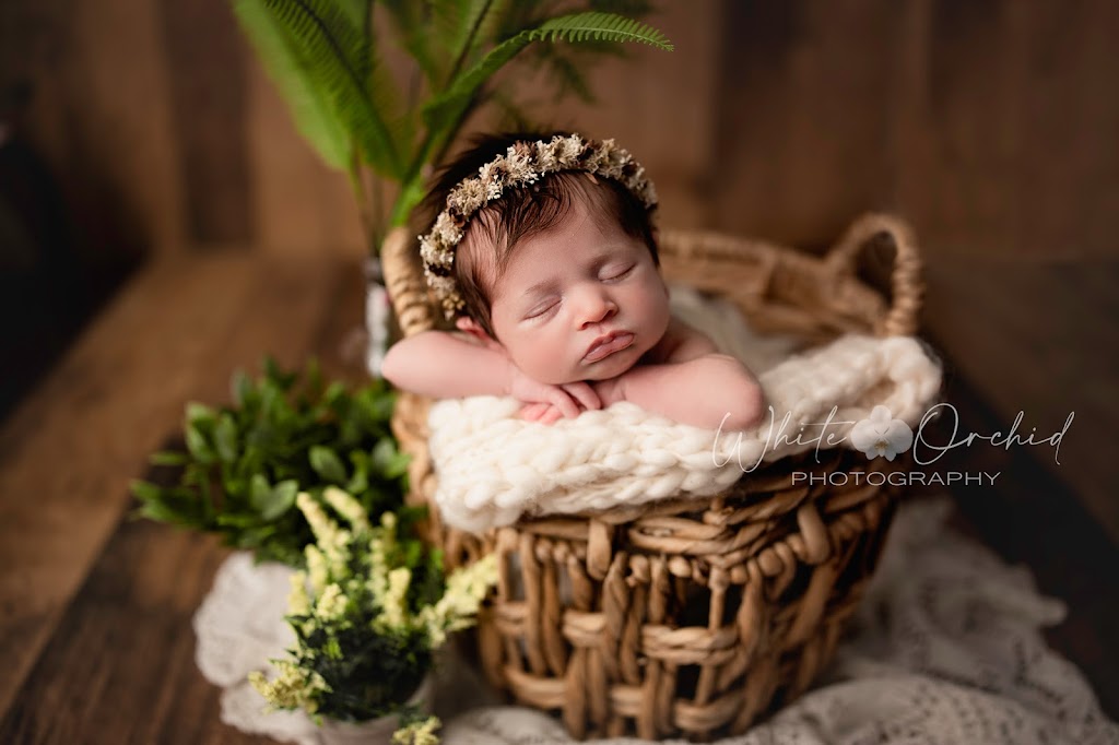 White Orchid Photography | 21 Tanglewood Dr, Binbrook, ON L0R 1C0, Canada | Phone: (905) 512-4760