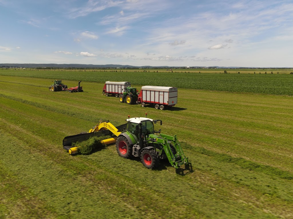 Ferme AMF Savard inc | 923 Rang Caron, Hébertville, QC G8N 1B5, Canada | Phone: (418) 669-0299