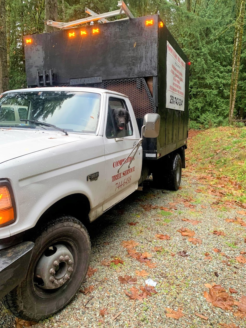 Competition Tree Service | Shawnigan Lake, BC V0R 2W0, Canada | Phone: (250) 744-6498