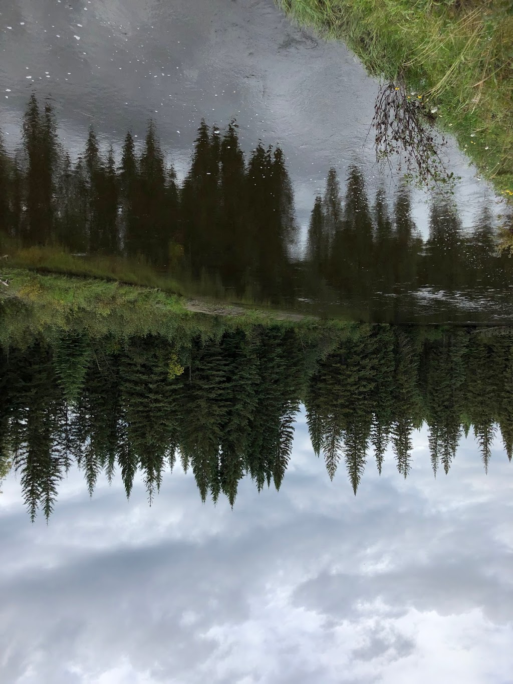 Weald Group Campsite | Yellowhead County, AB T0E 1X0, Canada | Phone: (877) 537-2757