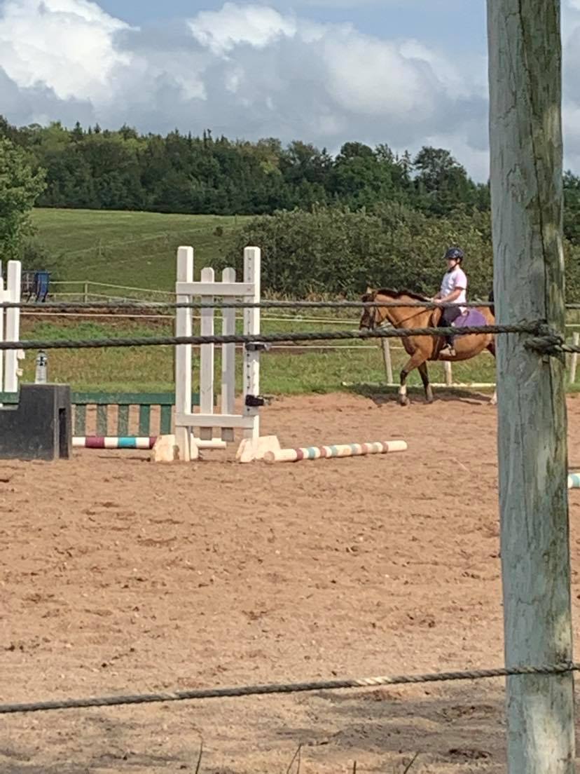 Creekside Equestrian Centre | 2370 Ohio East Rd, Antigonish, NS B2G 2K8, Canada | Phone: (902) 870-6456