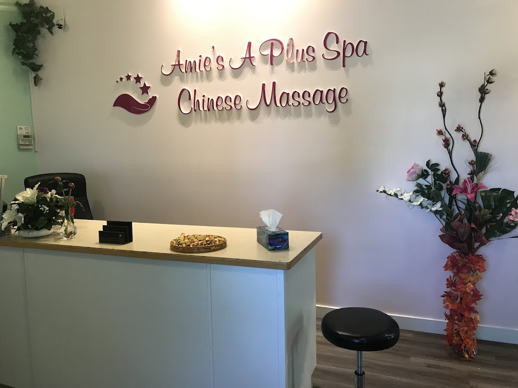 Amies A Plus Spa | 113-5227 Lakeshore Dr, Sylvan Lake, AB T4S 1Y8, Canada | Phone: (403) 307-8288