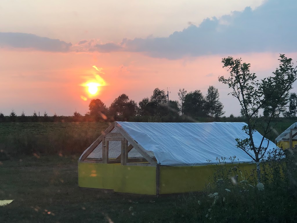 Chicken Thika Farm | 7687 Sideroad 2 E, Kenilworth, ON N0G 2E0, Canada | Phone: (519) 940-6502