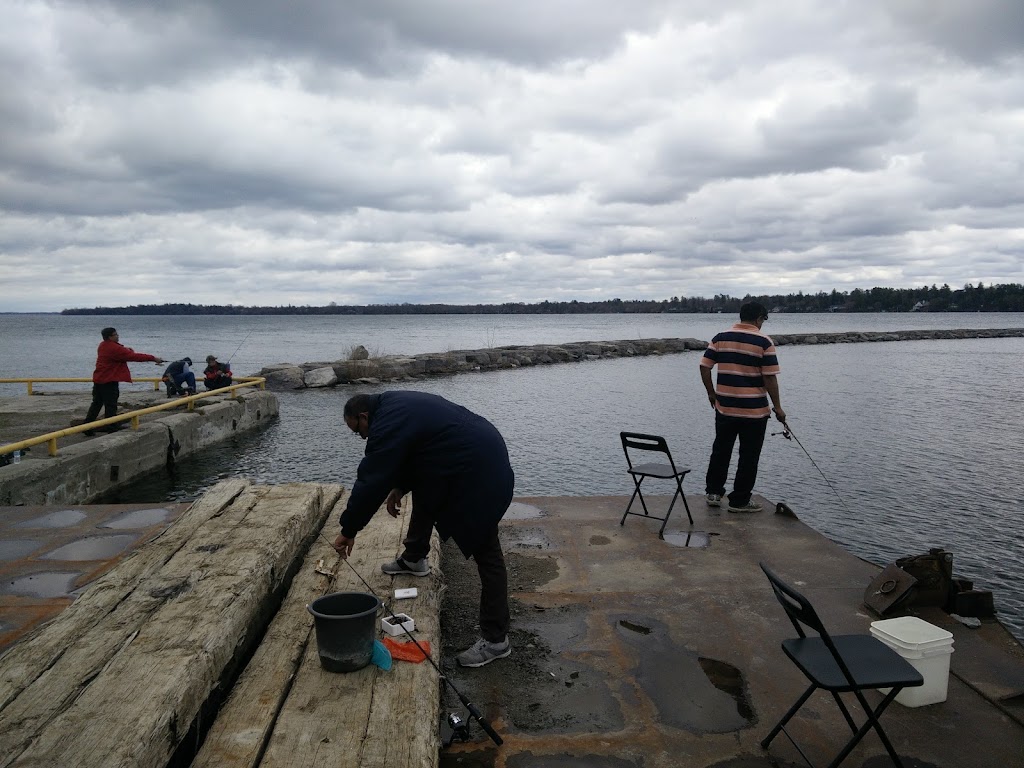 Sail Georgina | Sutton, ON L0E 1R0, Canada | Phone: (877) 977-7245