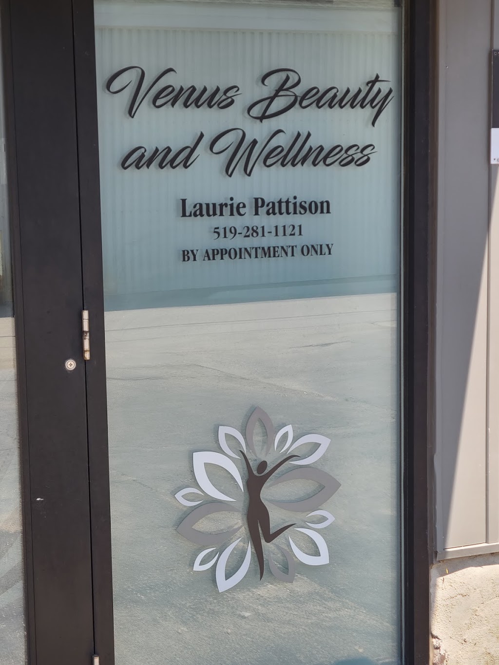 Venus Beauty and Wellness | 462 Riverside Dr, London, ON N6H 2R7, Canada | Phone: (519) 281-1121