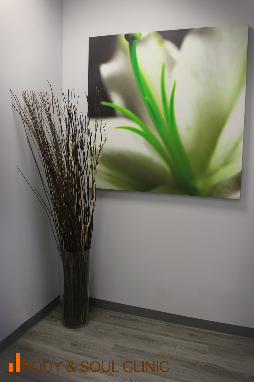 Body & Soul Clinic | 37 Jacob Keffer Pkwy #302, Concord, ON L4K 5N8, Canada | Phone: (905) 553-6720