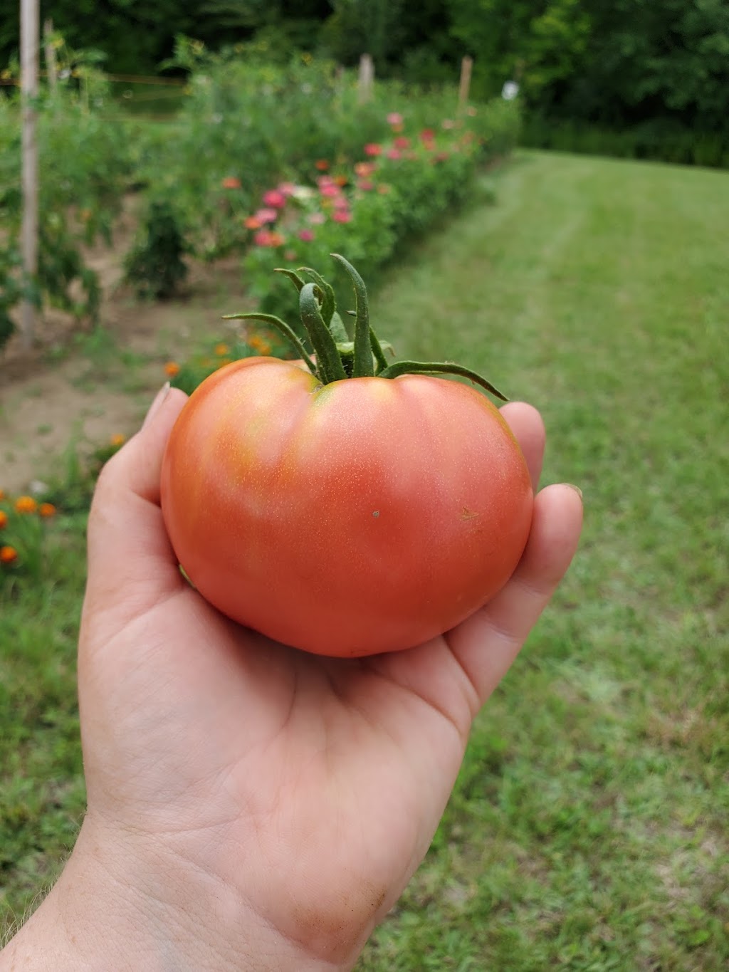 Harcliff Farms North | 2904 Peterborough County Rd 36, Buckhorn, ON K0L 1J0, Canada | Phone: (519) 996-3331