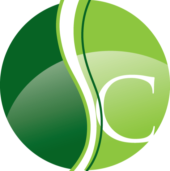 Chiropractique Alonzo | 2348 Rue Saint-Louis, Gatineau, QC J8V 1A2, Canada | Phone: (819) 246-4910