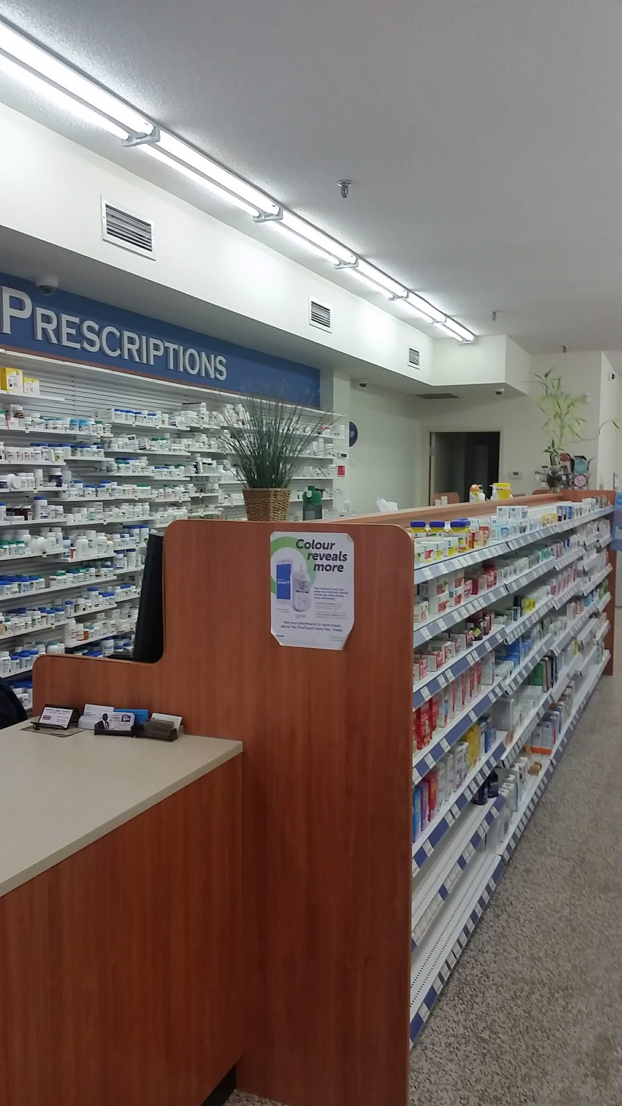 Elmhurst Plaza | 2428 Islington Ave, Etobicoke, ON M9W 3X8, Canada | Phone: (416) 747-0856