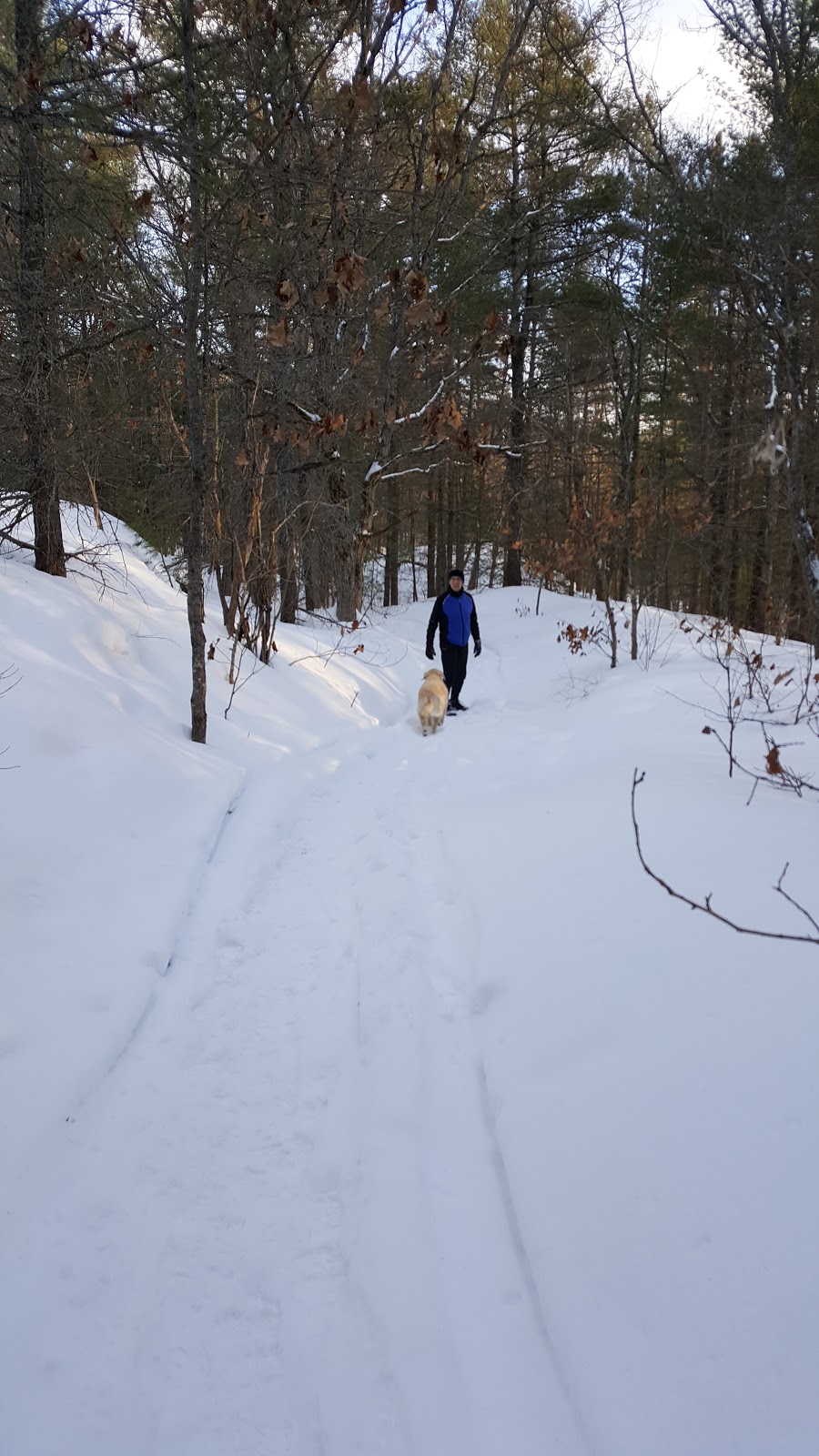 Old Stone Road Trail | 1576-, 1626 N Muldrew Lake Rd, Gravenhurst, ON P1P 1R2, Canada