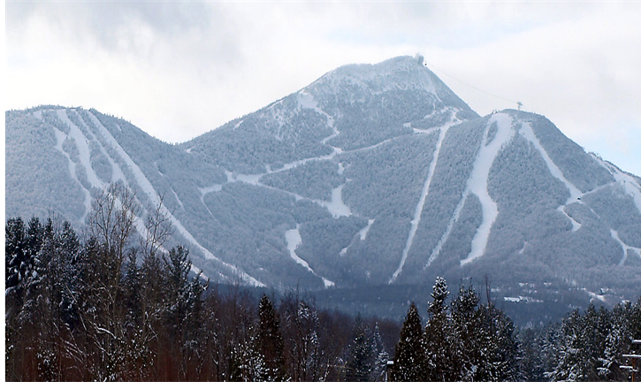 Great Northern Land Co., LLC. | 1045 VT-242, Jay, VT 05859, USA | Phone: (802) 323-7400