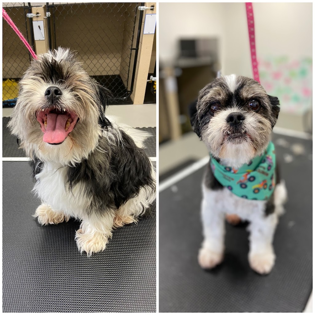 Groomer Has It | 3165 Lakefield Rd, Peterborough, ON K9J 6X5, Canada | Phone: (705) 652-0777