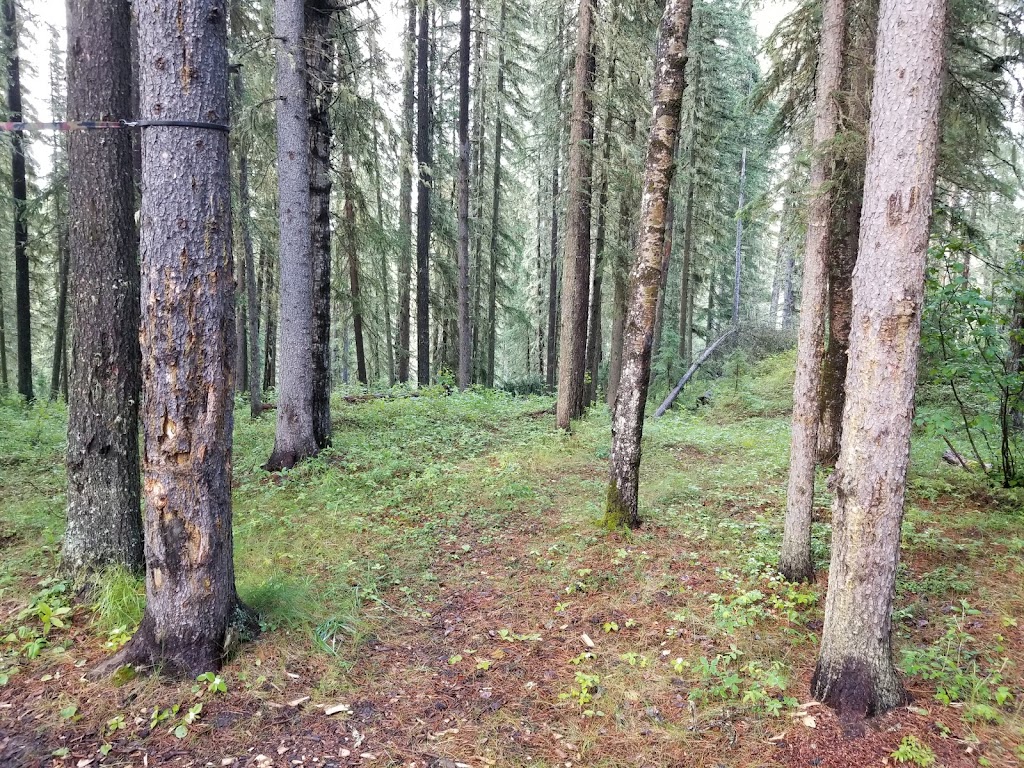 Prairie Creek Provincial Recreation Area | Clearwater County, AB T0M 2H0, Canada | Phone: (403) 845-8349
