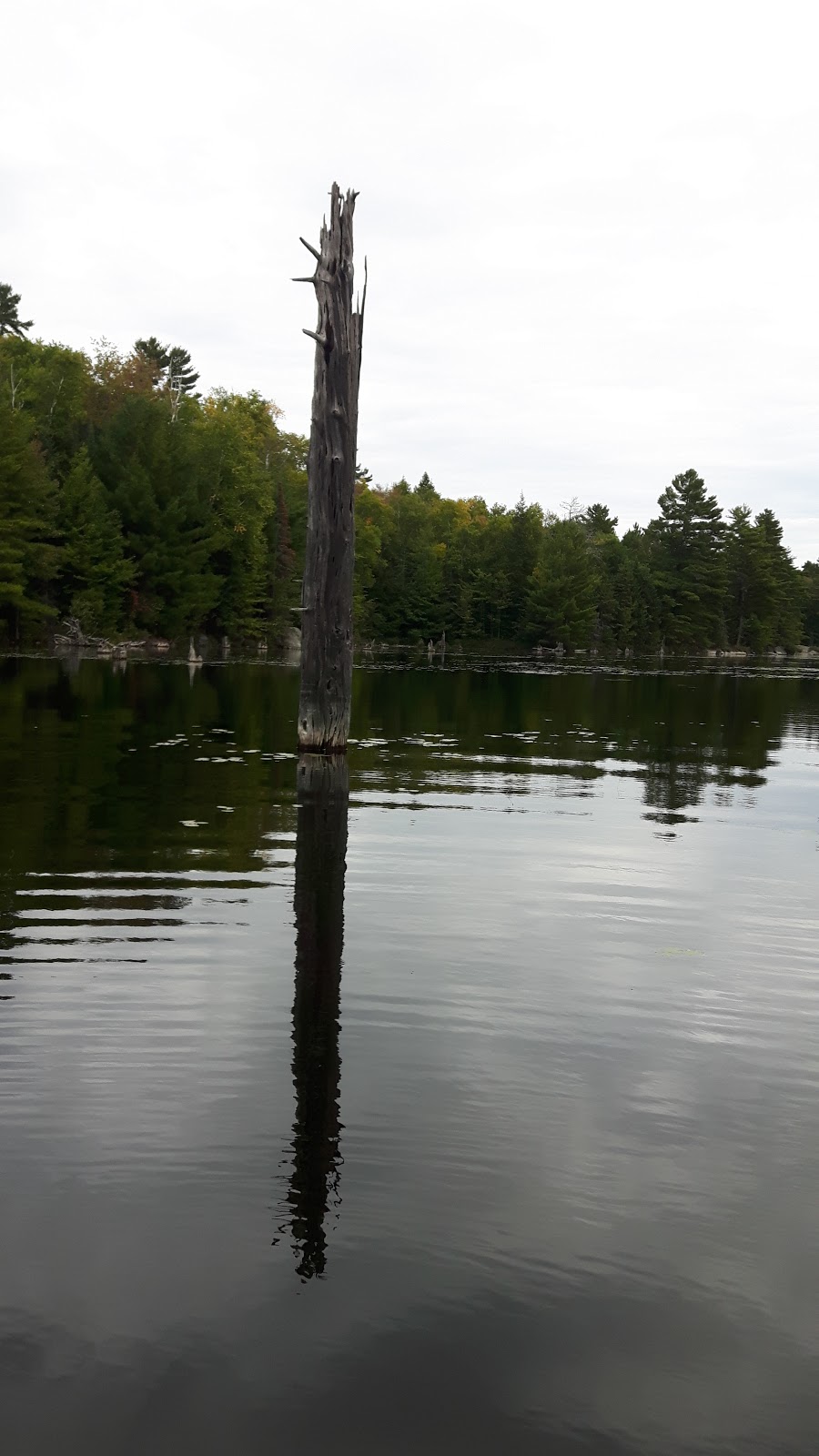 Weslemkoon Marina | 188 Grannys Ln, Gilmour, ON K0L 1W0, Canada | Phone: (613) 474-5201