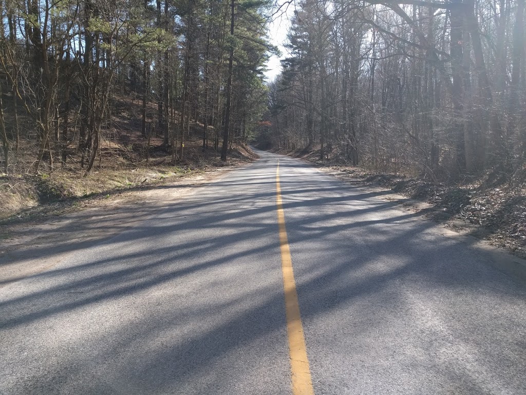 Spooky Hollow Nature Sanctuary | 293 Spooky Hollow Rd, Vittoria, ON N0E 1W0, Canada