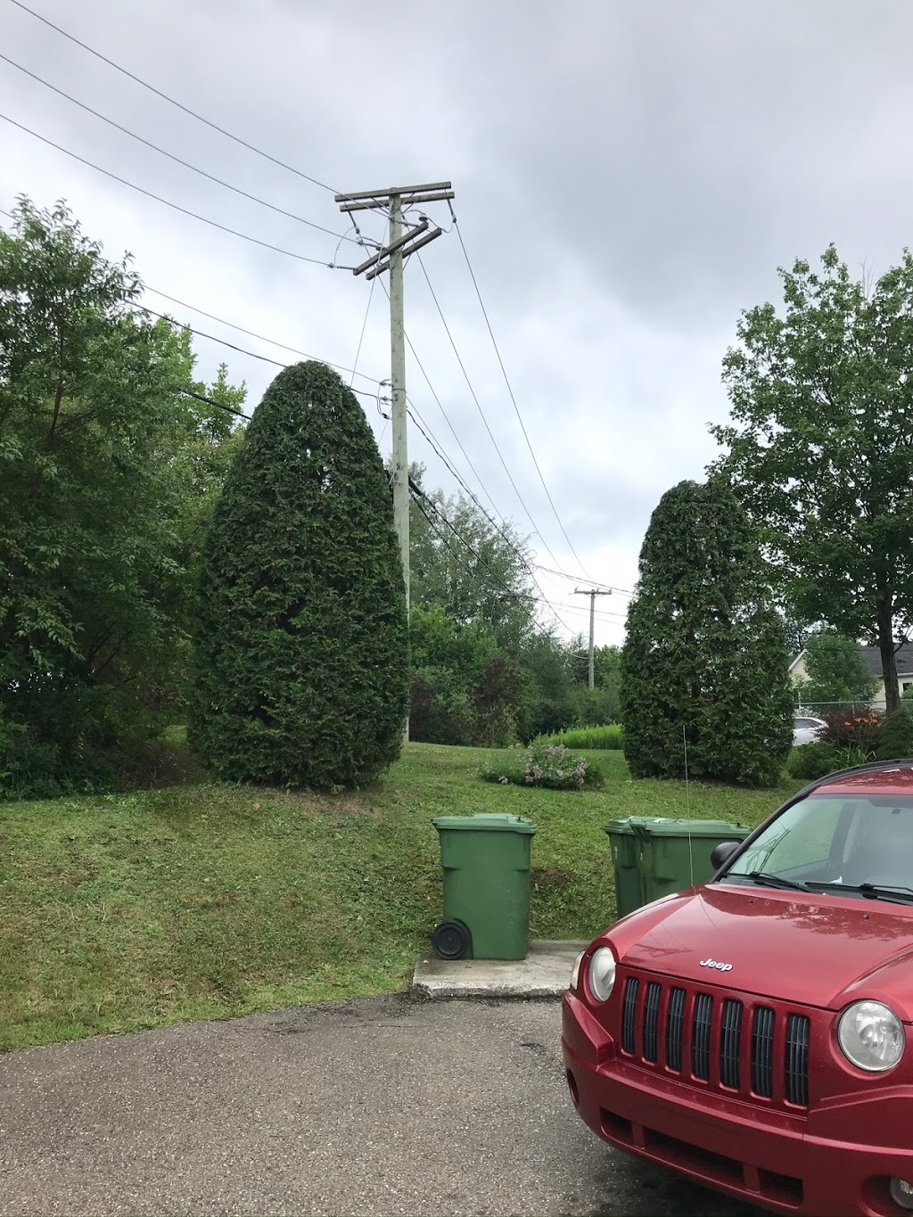 Taillage de haies Miguel Bedard | 3522 Chemin de North Hatley, Sherbrooke, QC J1N 0E5, Canada | Phone: (819) 437-8527