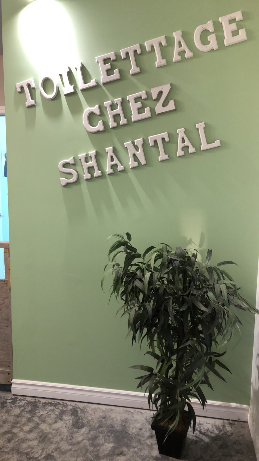 Toilettage chez Shantal | 910 Bd Saint-Jean-Baptiste, Mercier, QC J6R 2K8, Canada | Phone: (514) 424-8230