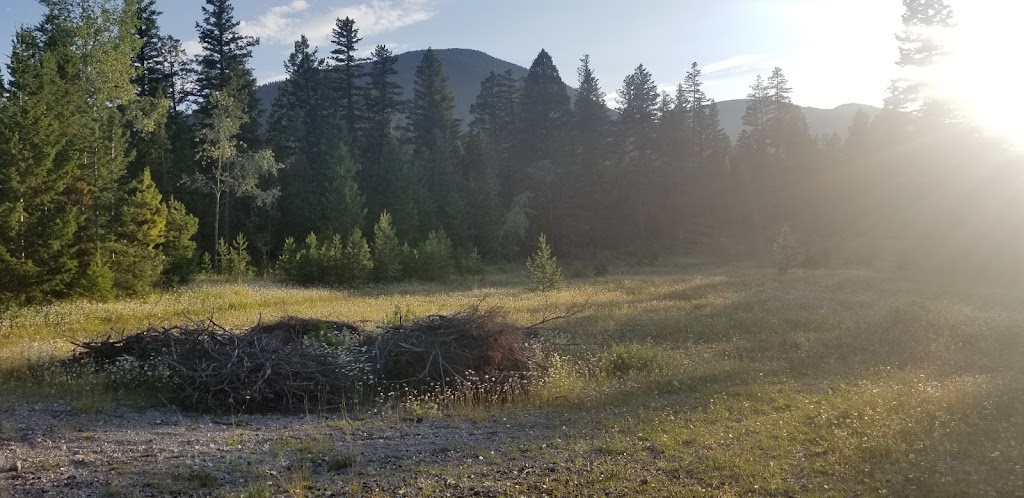 Big Bar Lake Provincial Park | Big Bar Rd, Clinton, BC V0K 1K0, Canada | Phone: (250) 320-9305