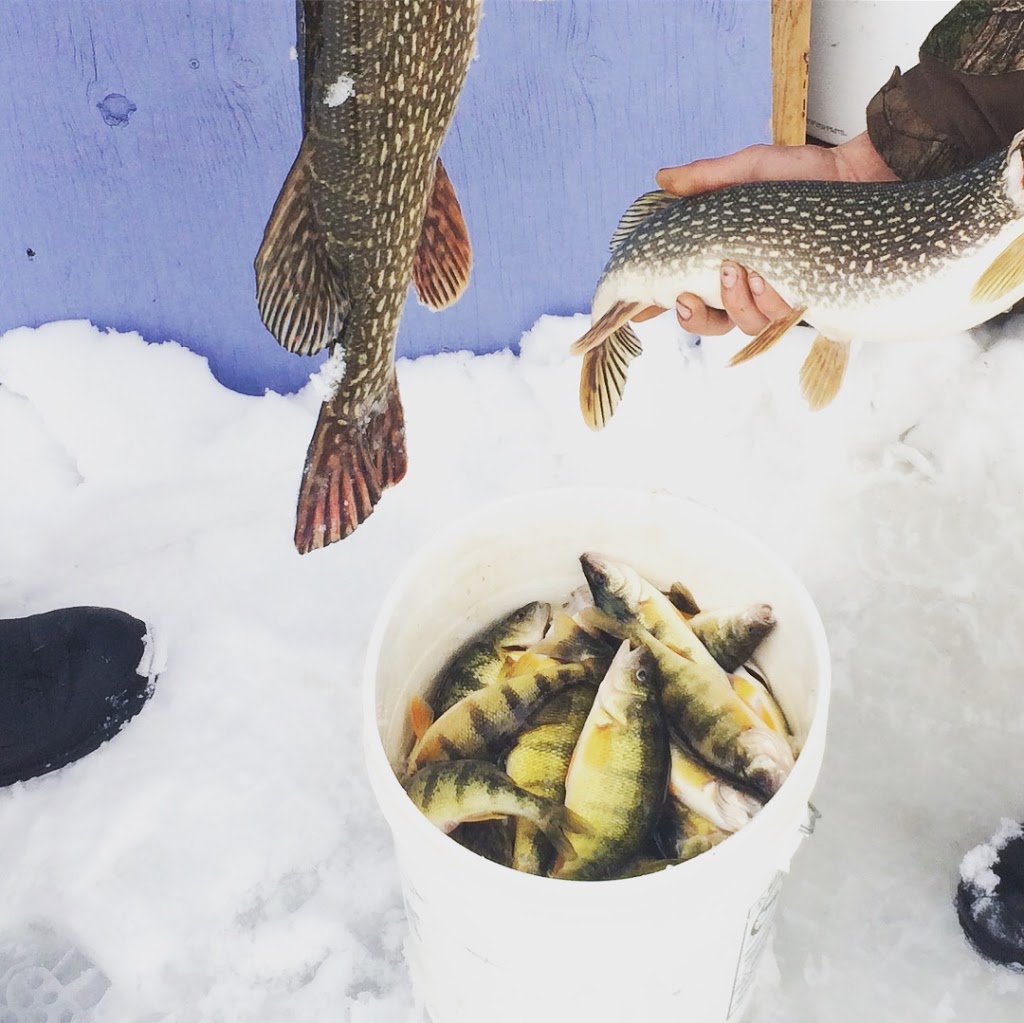 Jimmy Riggin’ Ice Fishing | 136 Erie Blvd, Port Rowan, ON N0E 1M0, Canada | Phone: (519) 586-7990