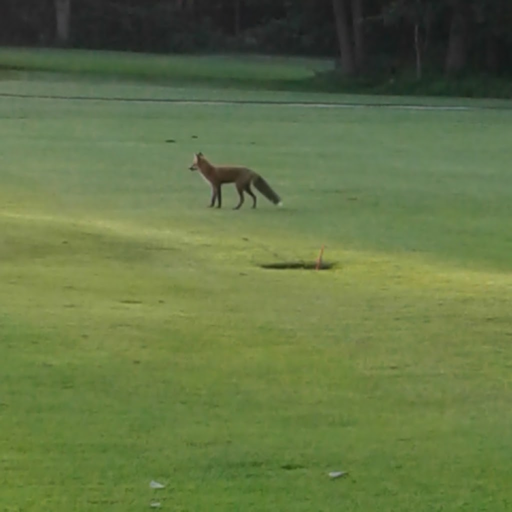 Big Cedar Golf Club | 1590 Houston Ave, Innisfil, ON L9S 4M7, Canada | Phone: (705) 456-2104