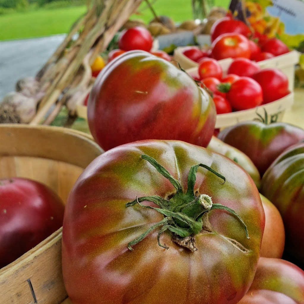 Bonville Garden | 17353 McPhail Rd, St Andrews West, ON K0C 2A0, Canada | Phone: (514) 944-7875