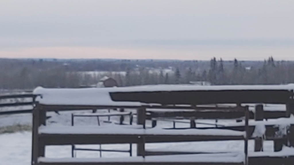 Ash Bren Equine Ltd. | 21069 Township Rd 524, Ardrossan, AB T8G 2C8, Canada | Phone: (780) 922-2033