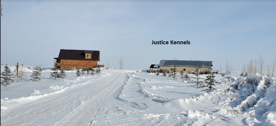 Justice Kennels, Dog Obedience Training | Township Rd 260, Lyalta, AB T0J 1Y0, Canada | Phone: (403) 880-3171