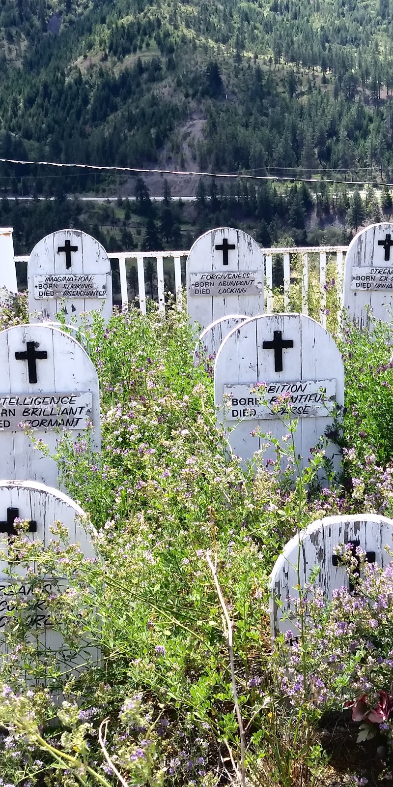 Botanie Rock Farms | Box 694, 1340 Botanie Valley Road, Lytton, BC V0K 1Z0, Canada | Phone: (250) 455-2724