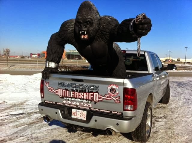 SILVERBACK | 1514 Meridian Rd NE, Calgary, AB T2A 2N9, Canada | Phone: (403) 569-7222