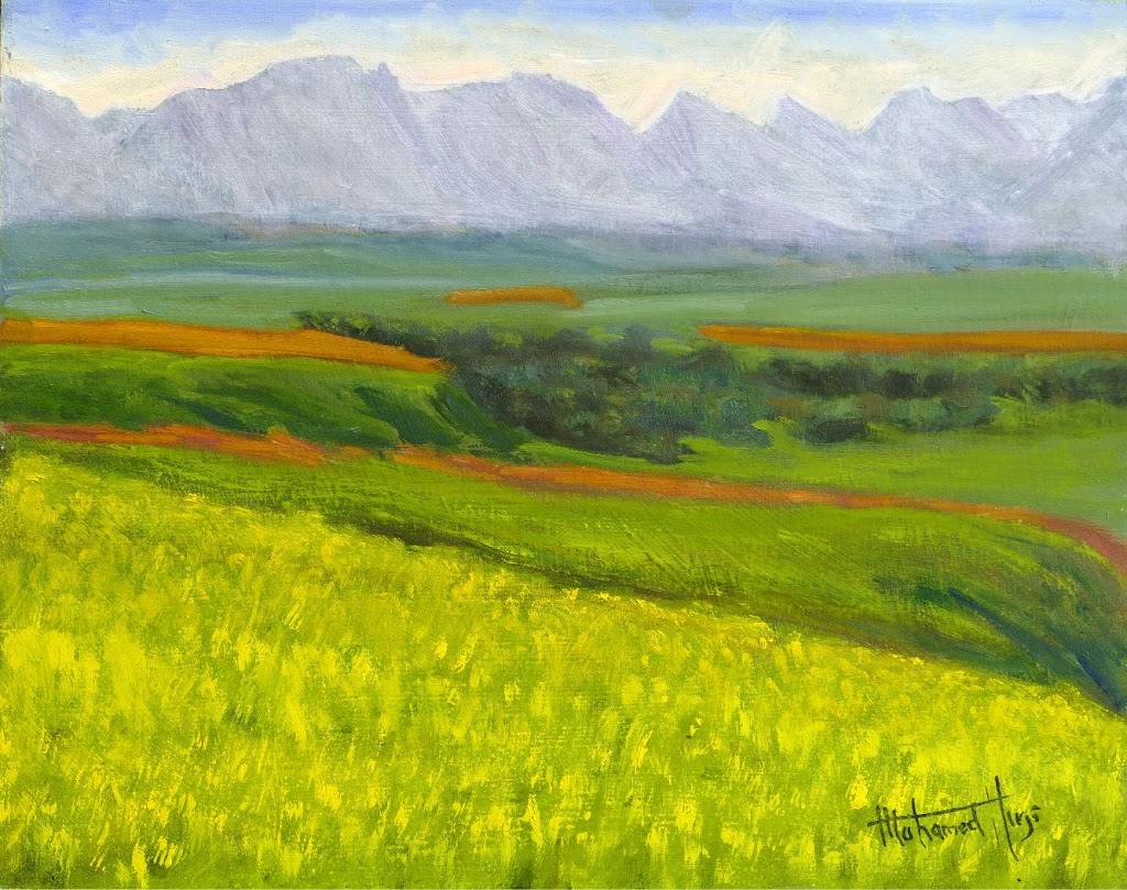 hirjiart | 14709 43a Ave NW, Edmonton, AB T6H 5T8, Canada | Phone: (780) 430-7086
