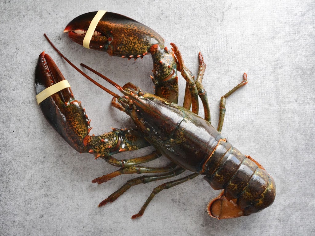 James L Mood Fisheries | 130 Falls Point Rd, Lower Woods Harbour, NS B0W 2E0, Canada | Phone: (902) 723-2360