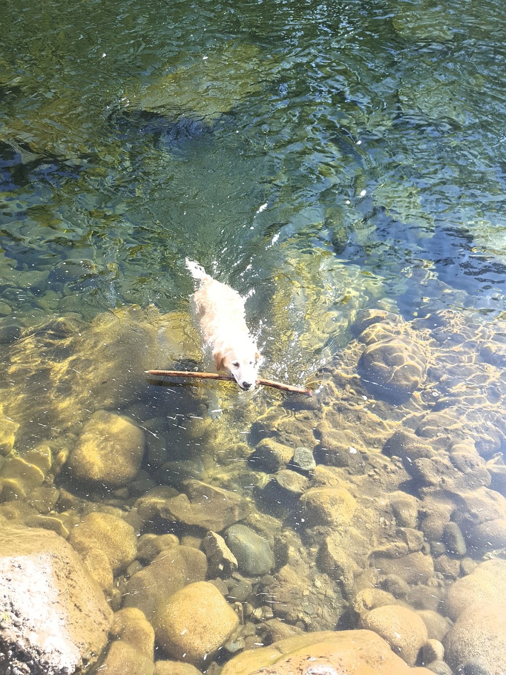 Nanaimo River Regional Park | Nanaimo A, BC V9X 1T2, Canada | Phone: (250) 248-3252