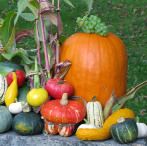 Gossamer Glass-Inspiration farm | 619 E Laurel Rd, Bellingham, WA 98226, USA | Phone: (360) 398-7061